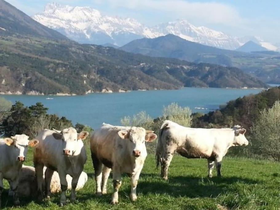 Gite De Charme : La Grange Au Lac Azur Treffort  Εξωτερικό φωτογραφία
